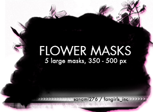 http://fc05.deviantart.net/fs10/i/2006/085/a/d/Large_flower_masks_by_Sanami276.png