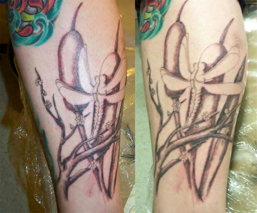 Dragonfly tattoo - dragonfly tattoo