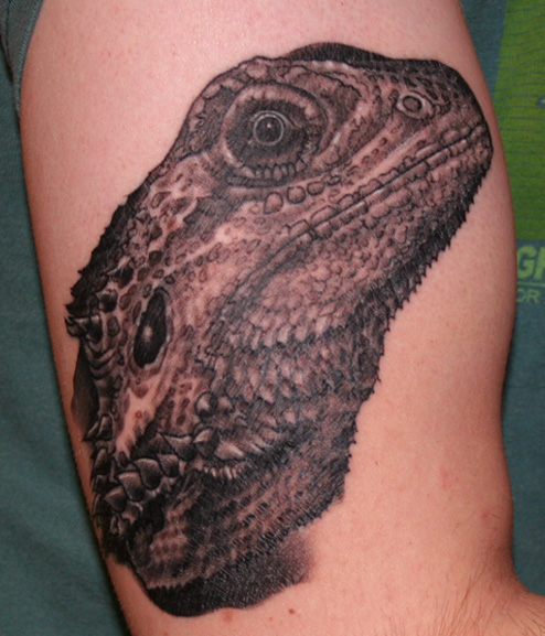 dragon tattoos on arm. Bearded Dragon Tattoo by