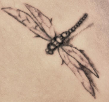 Tattoo - dragonfly tattoo