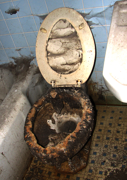 http://fc05.deviantart.net/fs15/f/2007/099/2/c/1_dirty_toilet_by_woodmillmiles.jpg