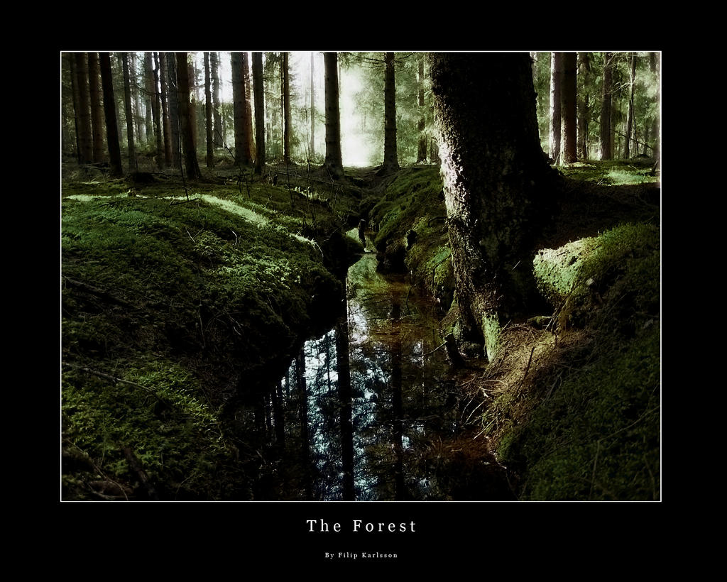http://fc05.deviantart.net/fs18/i/2007/181/6/0/The_Forest_by_Fippa.jpg