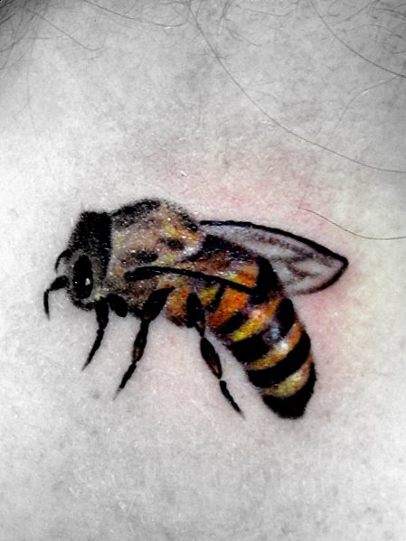 tattoo bee by ~nirpa on deviantART