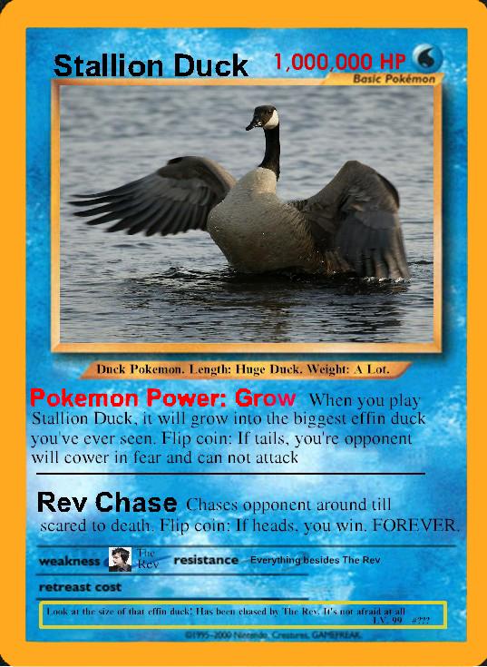 Stallion Duck Pokemon Card by