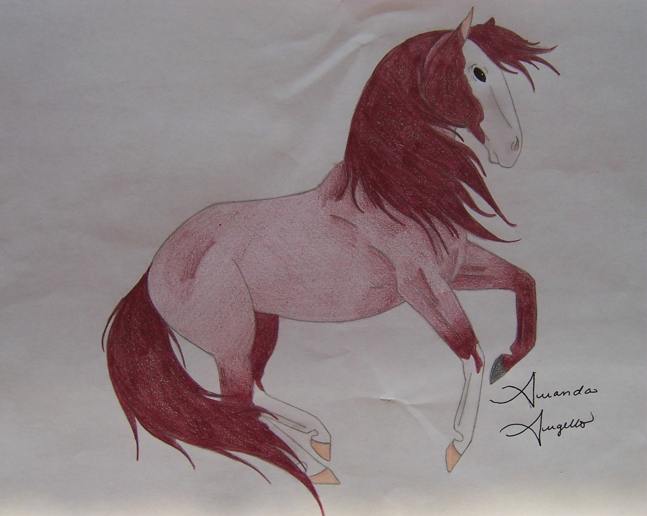 mustang horse sketch