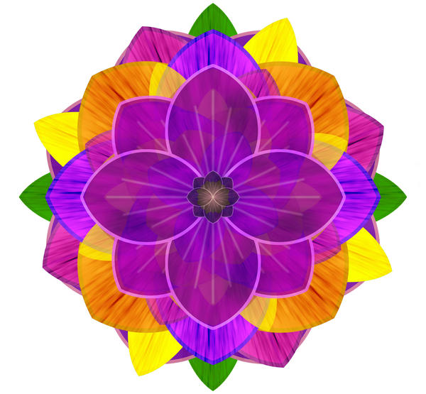 Colorful_Flower_by_webgoddess.jpg
