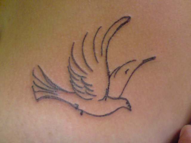 Dove on breast tattoo by