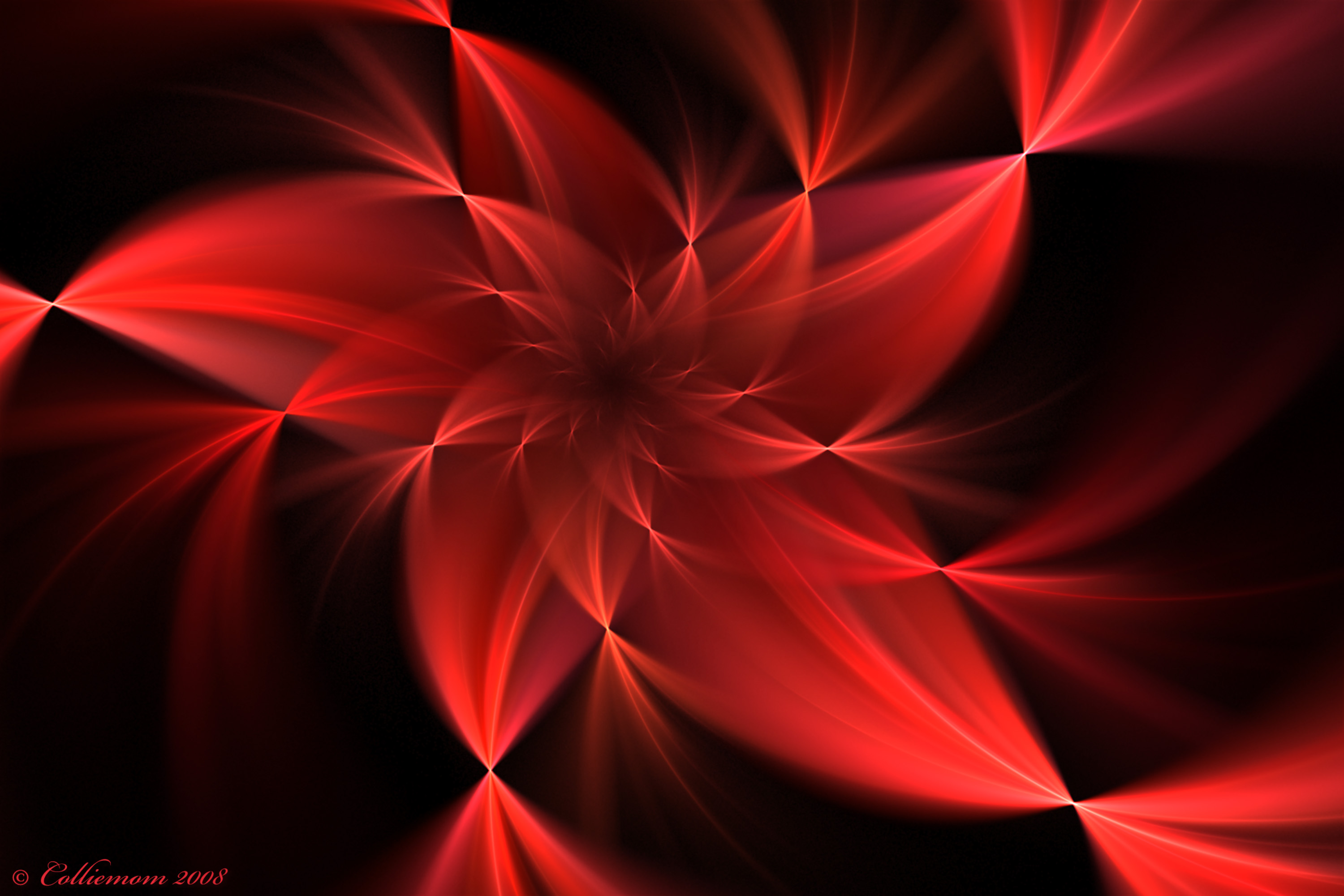 Red Wallpapers Love Backgrounds