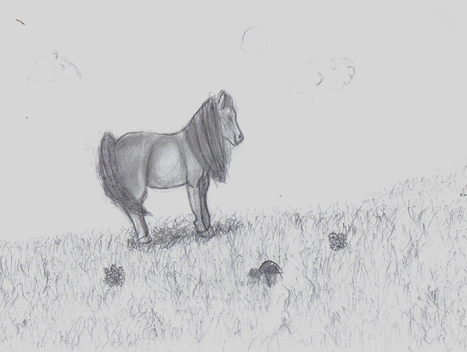 Meadow Sketch