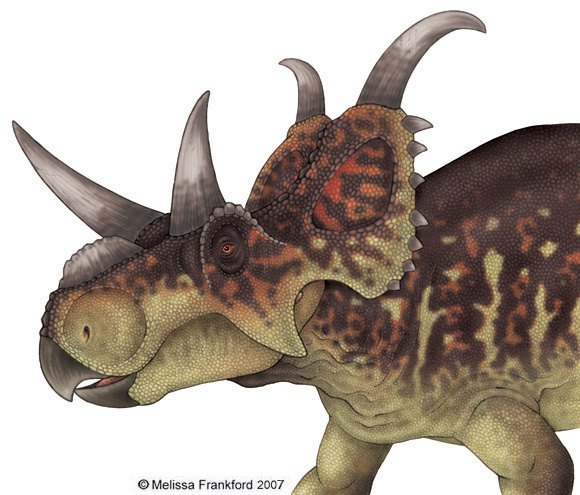 Wahweap_Ceratopsian_by_mmfrankford.jpg
