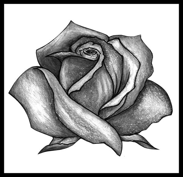 Rose Tattoo sketch by melancholyspiders on deviantART
