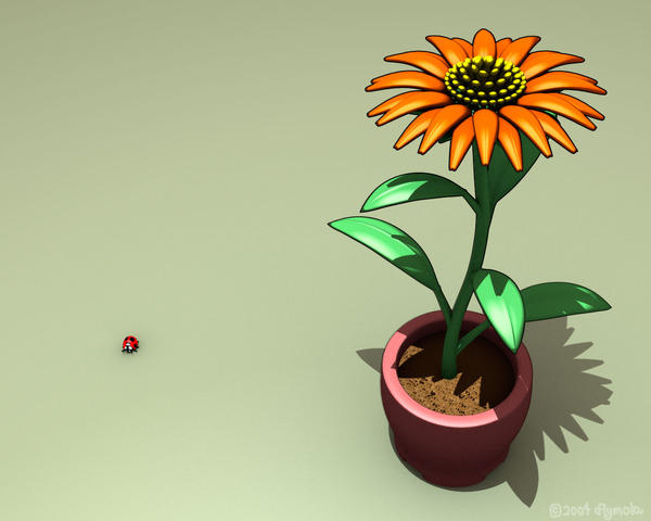 Flower and Ladybeetle