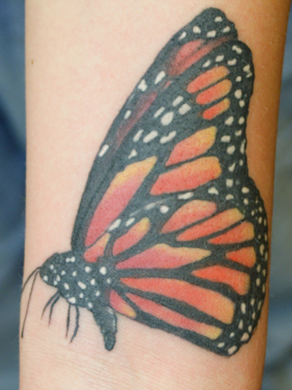 monarch butterfly tattoo design
 on INK TATTOO: butterfly tattoo by Greg Zimmerman