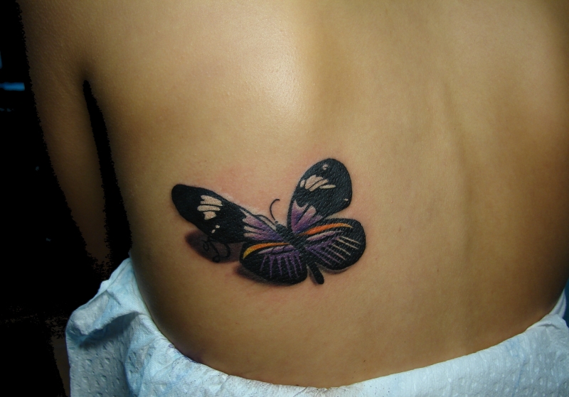 butterfly in purple