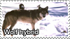Wolf_hybrid_stamp_by_Tollerka.png