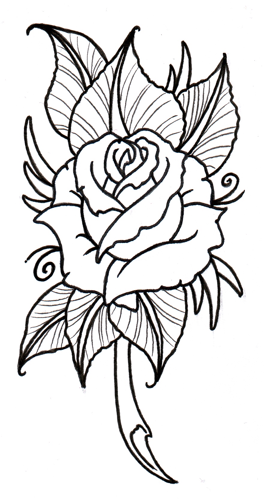 Traditional Rose Tattoo Outline