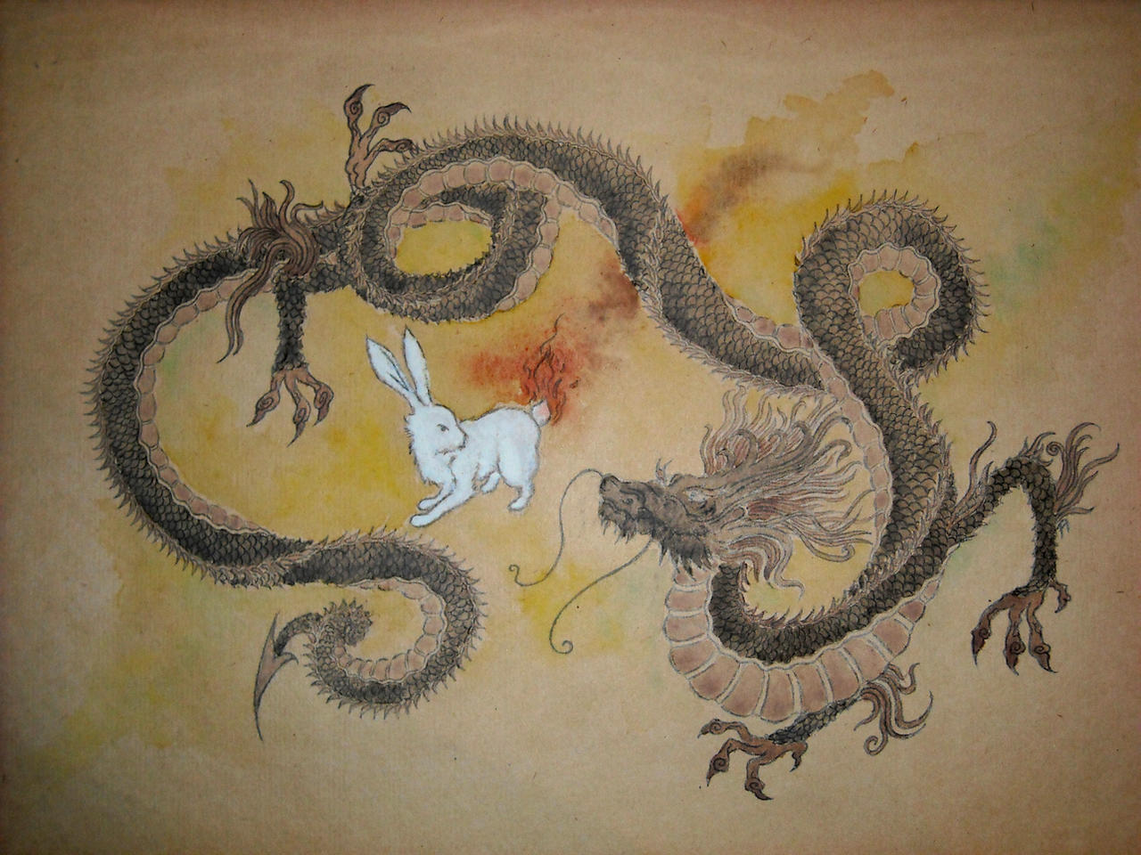 Dragon_and_Rabbit_by_aquineth.jpg
