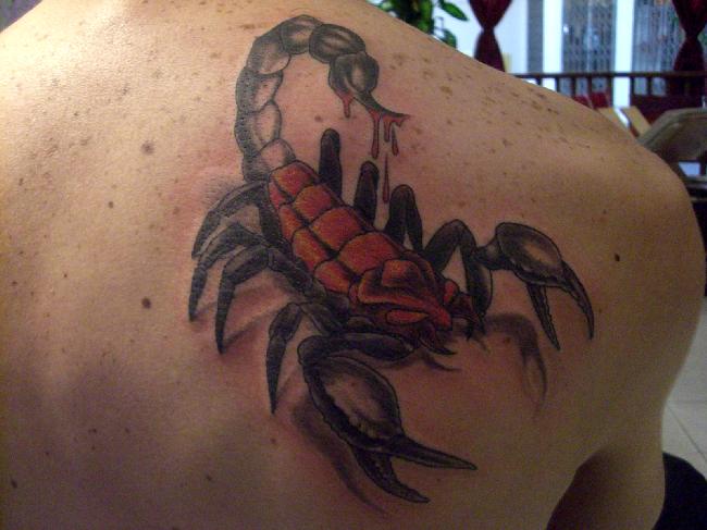 Scorpion Tattoos, Designs- done in black and gray, as this shows them to
