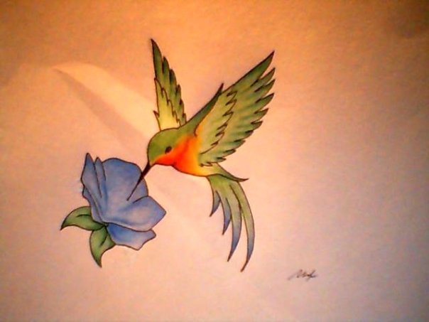 hummingbird tattoo designs