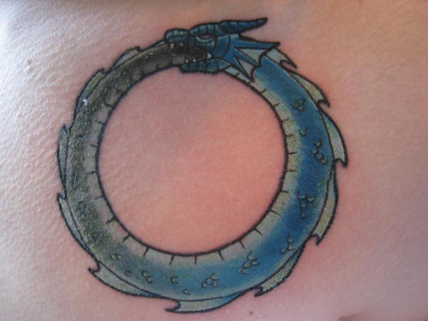 Remember how the first anime turned Greed's Ouroboros tattoo upside-down.