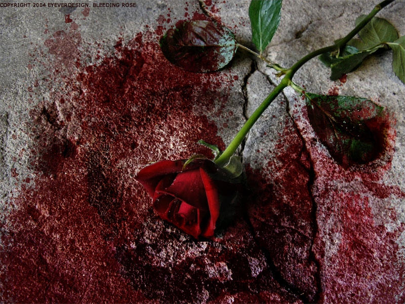 [Image: bleeding_rose_by_eyeverdesign.jpg]