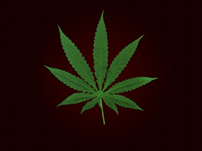 marijuana wallpapers. Cannabis Wallpaper by