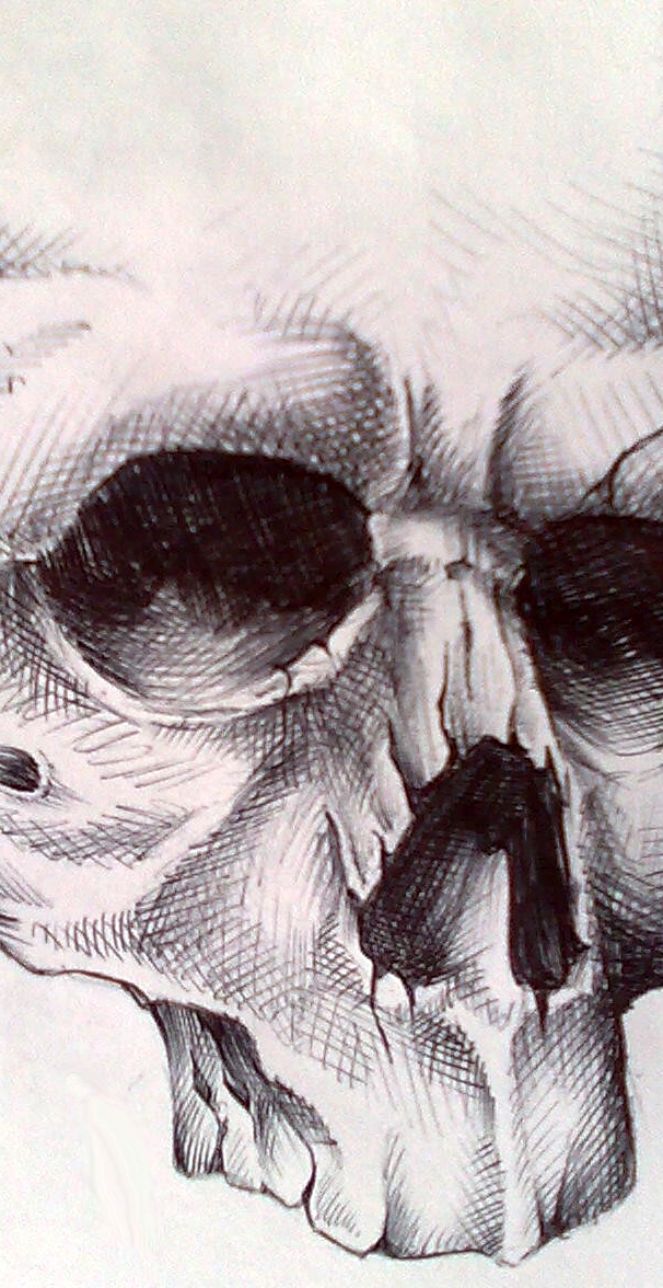 Skull Drawing by Pick1 on deviantART