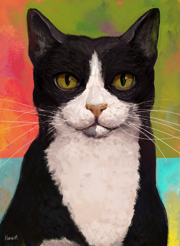 Tuxedo Cat Drawings