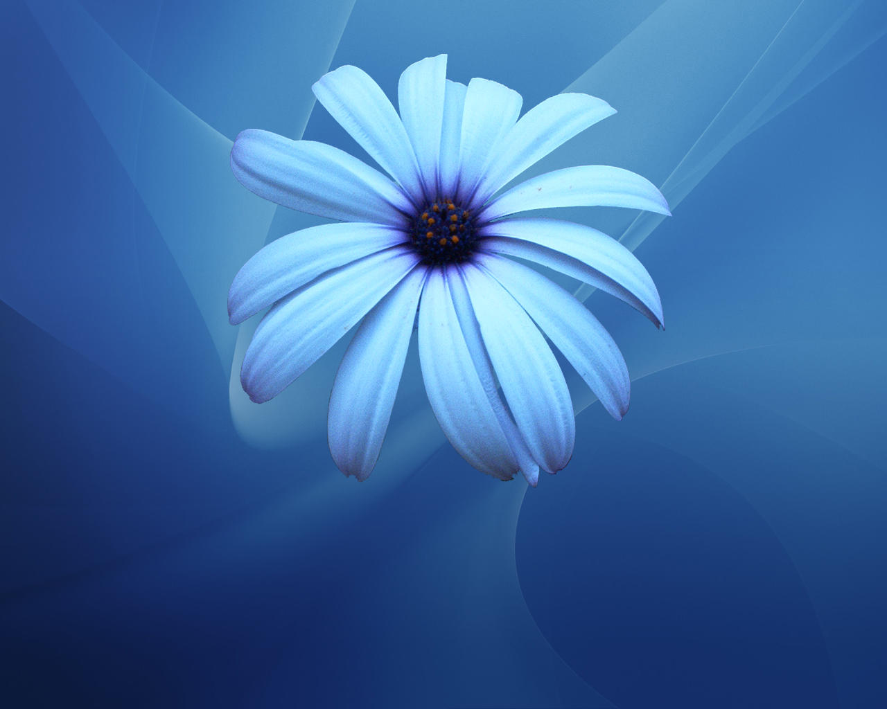 Blue Flower Wallpaper by ~Sarman on deviantART