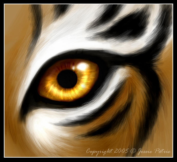 tiger eyes clip art - photo #16