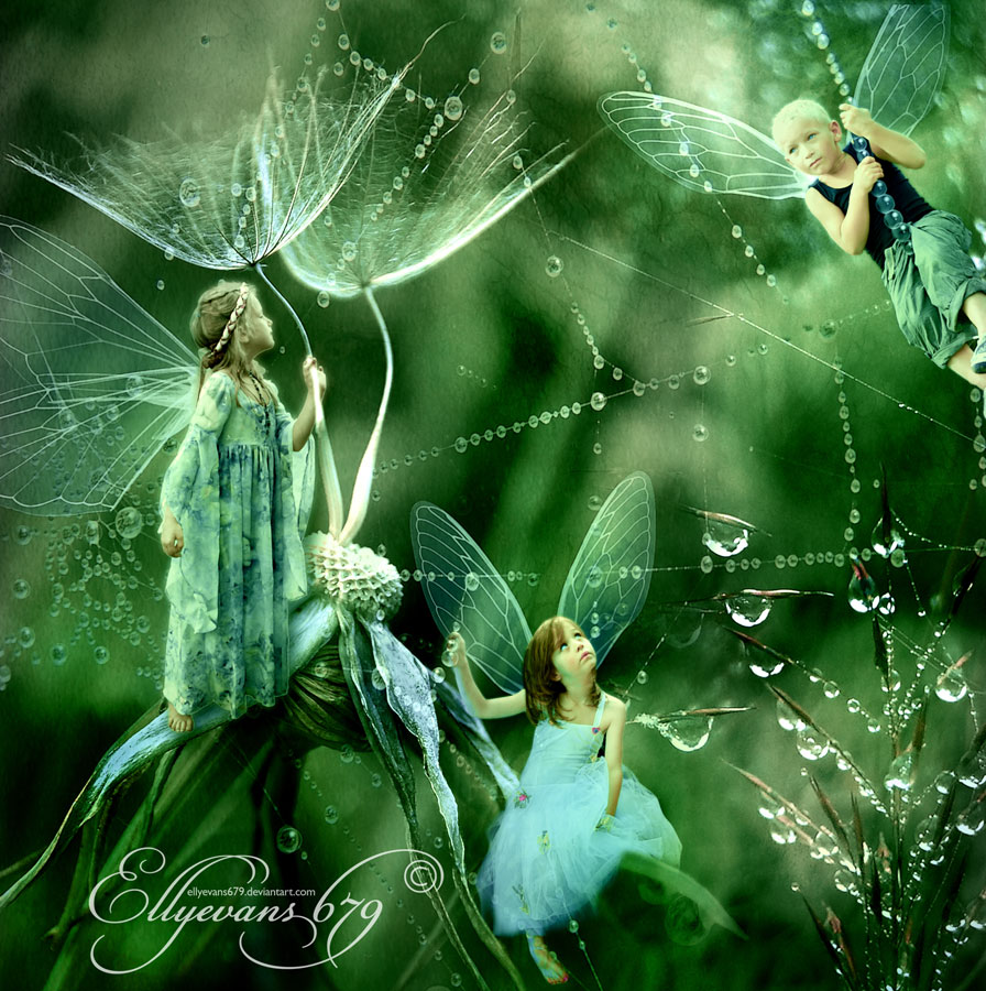 Dandelion Rain by