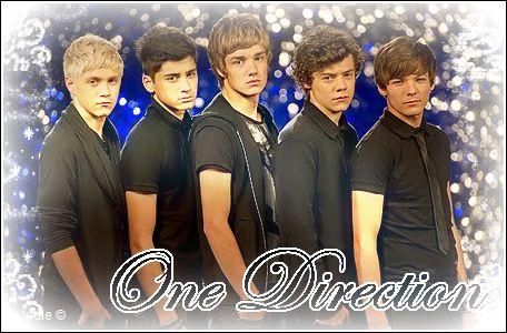 one_direction_by_patch4ever-d30gtix.jpg