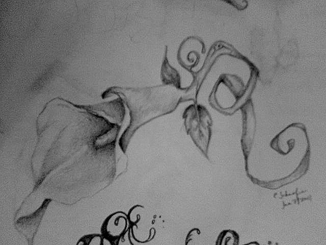 pictures of tattoos of lilies. tattoos of lilies on feet. foot tattoos lily sketch; foot tattoos lily sketch. NoSmokingBandit. Jun 25, 07:20 AM. Makes it look like awesome?