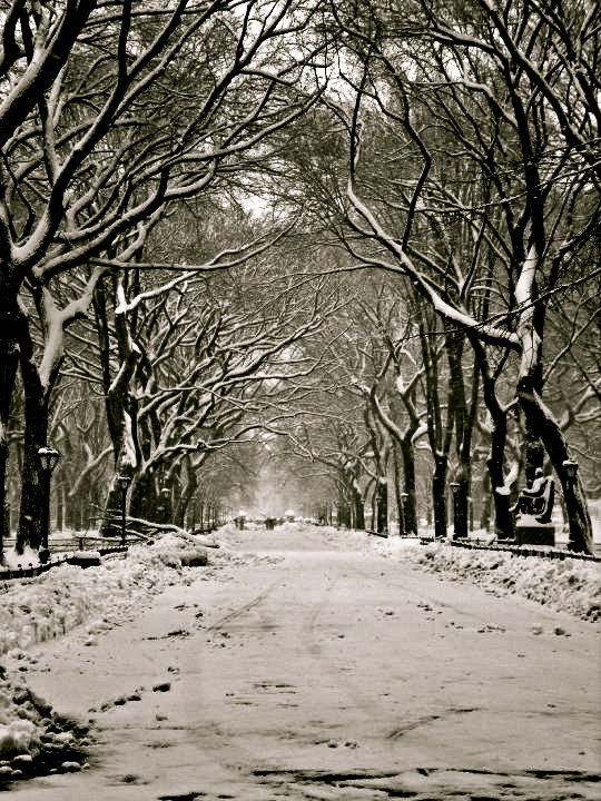 winter central park wallpaper. Central Park In Winter II by
