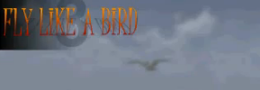 Fly Like A Bird Free No Download