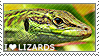 i_love_lizards_by_wishmasteralchemist-d6gb3rf.png