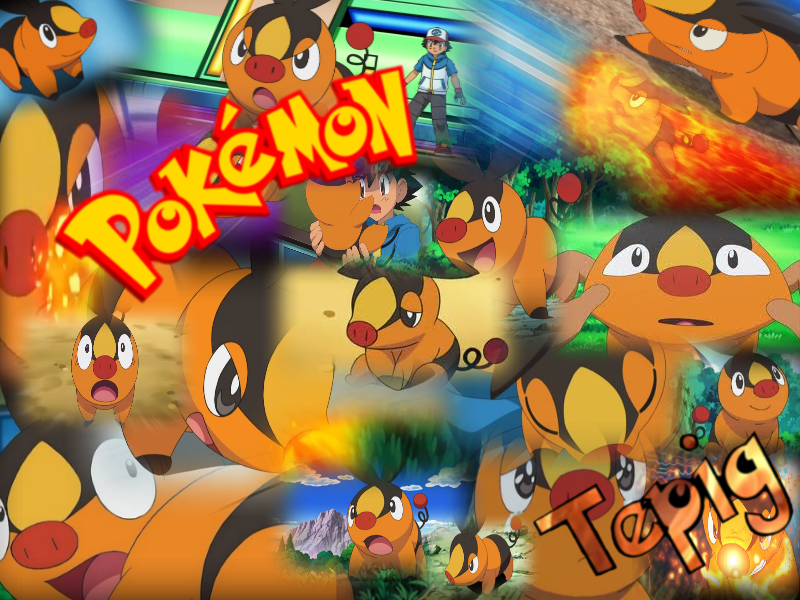 tepig_montage_by_ladysesshy-d7dnw3t.png