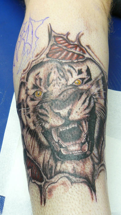Tattoes on Tiger Tattoos
