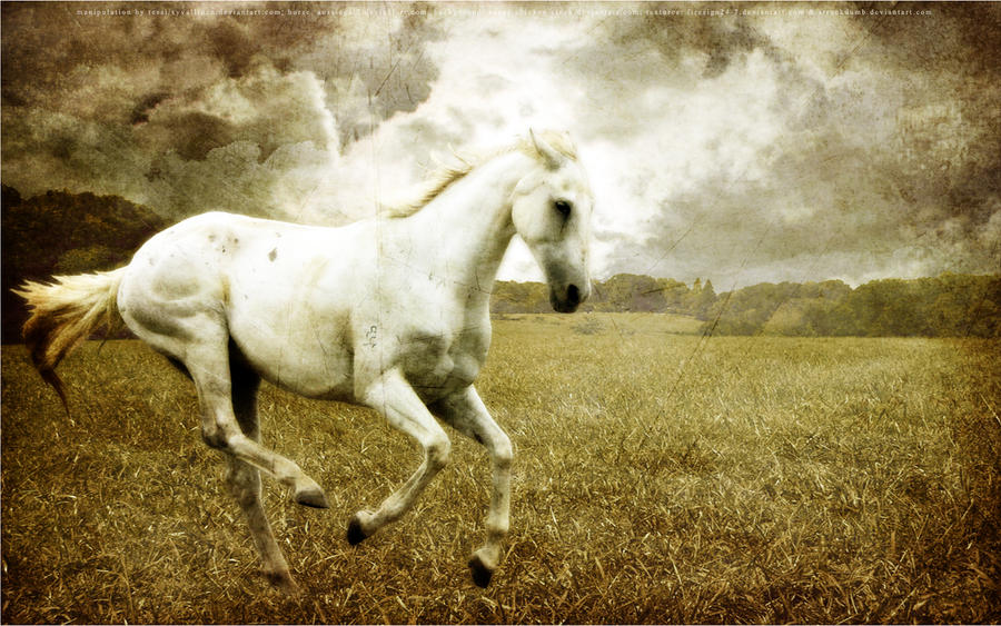 White Horse Wallpaper by