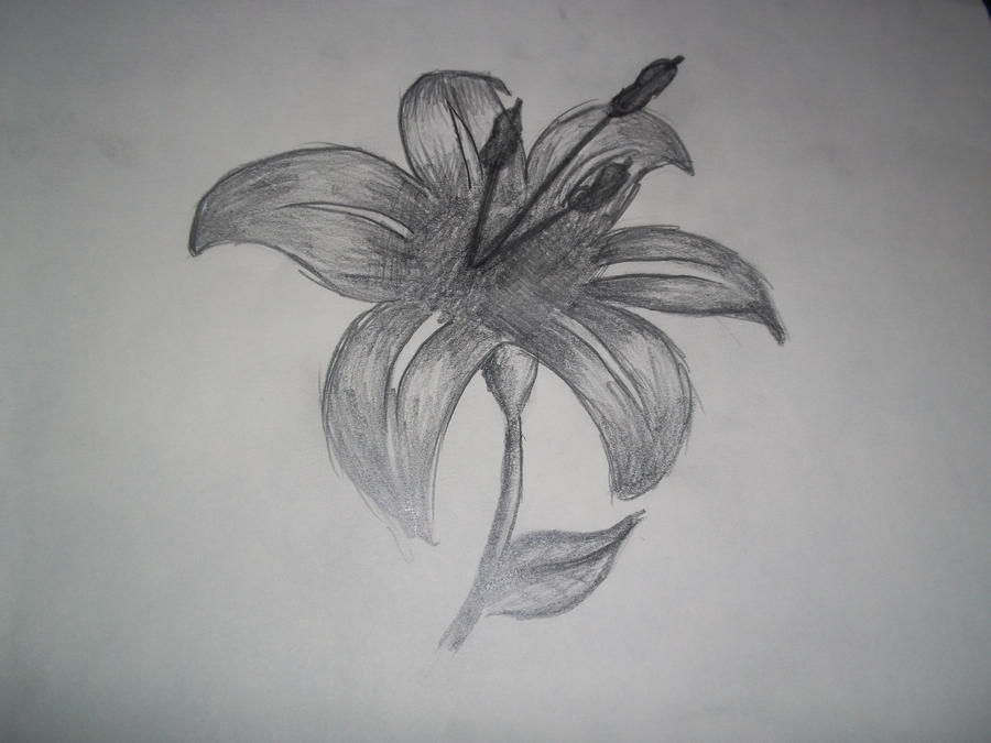 Flower Drawing | Flower Tattoo