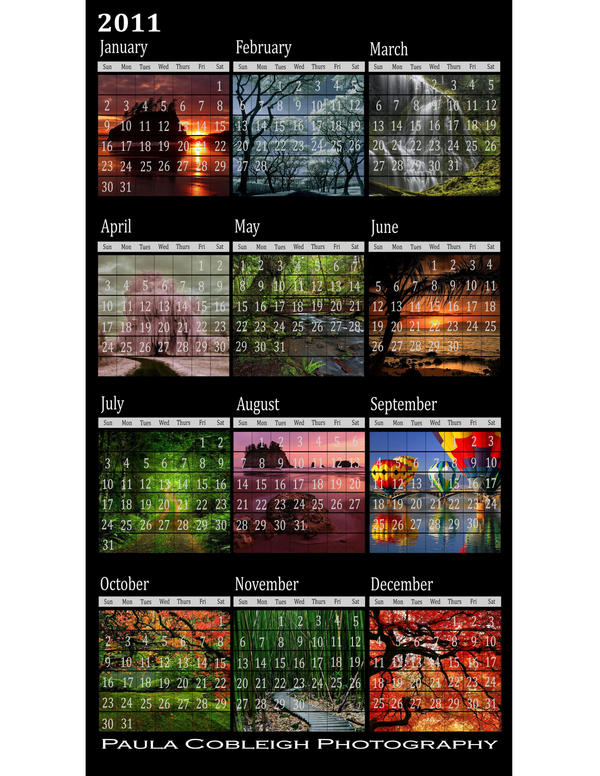 january 2011 calendar word