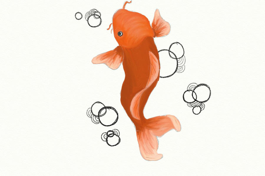 koi fish by TangerineSea on deviantART