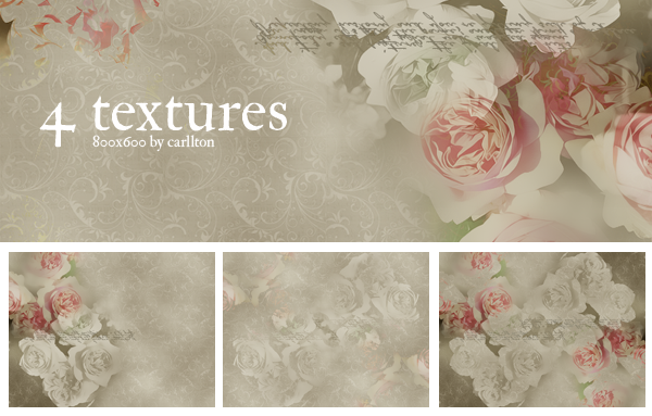 4 textures 800x600 : 5 by Carllton