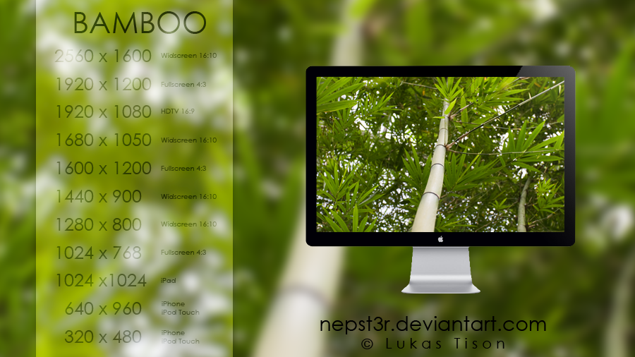 Bamboo wallpaper for PC, Mac, iPad, iPod, iPhone