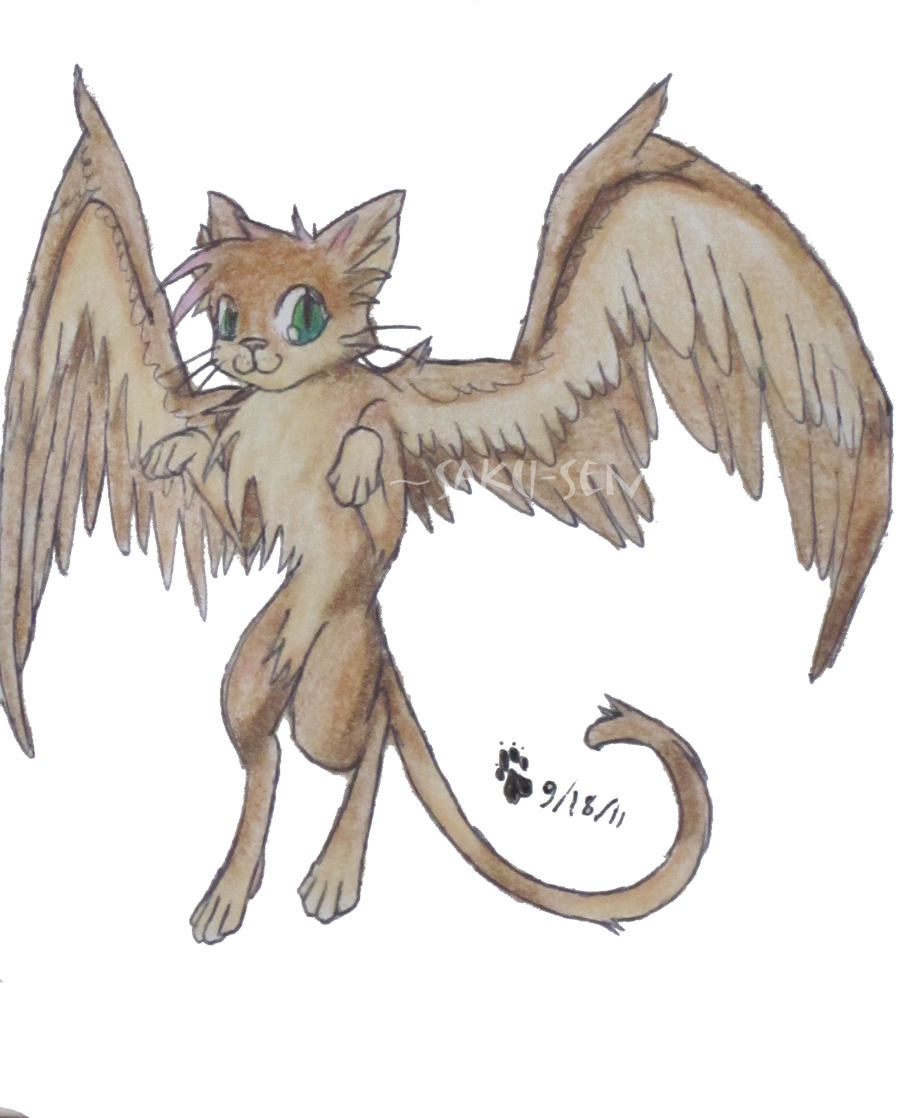 Winged Cat for Ronekimew by SakuSenpai on DeviantArt