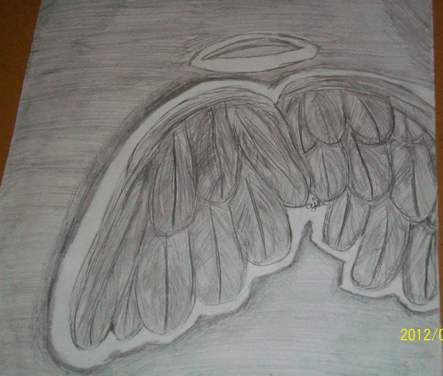 wings drawing