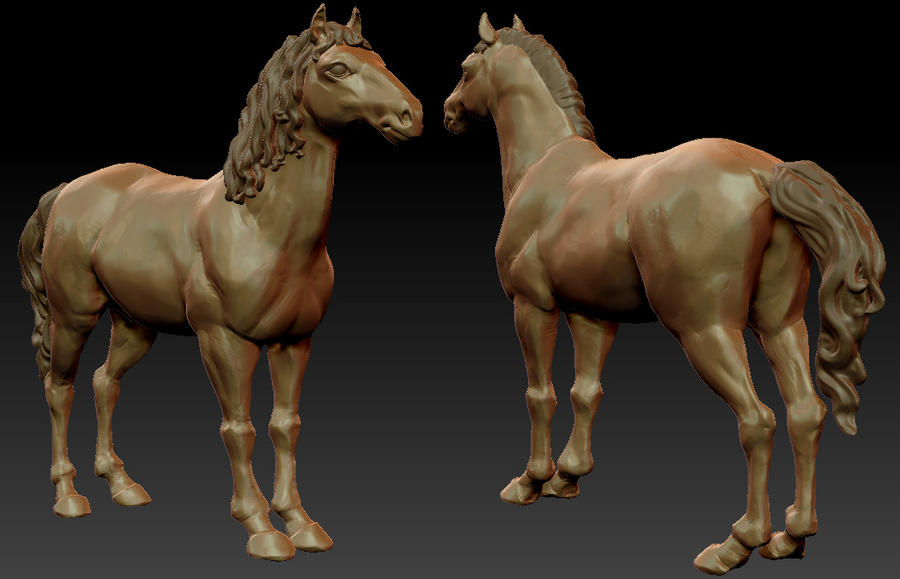 horse_sculpt_anatomy_study_zbrush_by_zelldweller-d4x1x1x.jpg