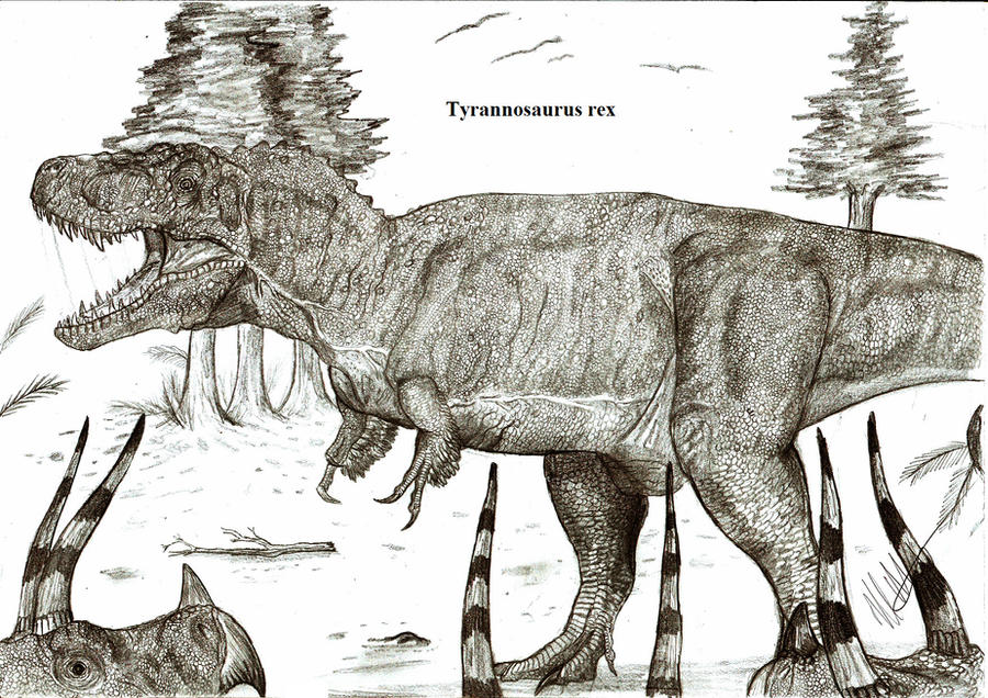 Tyrannosaurus rex by Teratophoneus