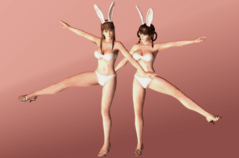 hitomi_and_leifang___cheeky_bunnies___02_by_hentaiahegaolover-d5qlx1d.png