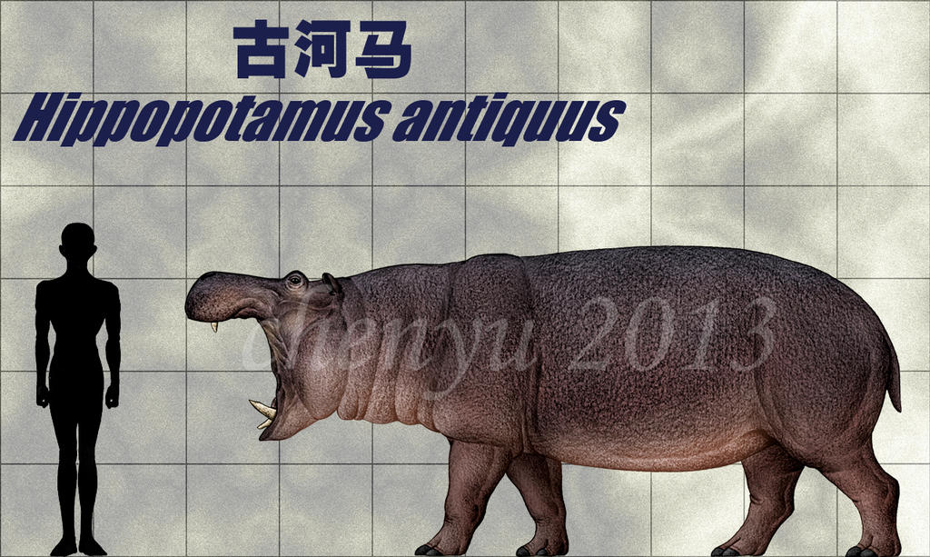 http://fc05.deviantart.net/fs70/i/2013/298/1/c/hippopotamus_antiquus_by_sinammonite-d6rrhxf.jpg